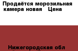 Продаётся морозильная камера новая › Цена ­ 12 000 - Нижегородская обл. Электро-Техника » Бытовая техника   . Нижегородская обл.